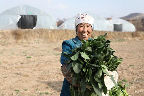 洪河村群眾的心里話：脫貧致富，計(jì)劃得先行