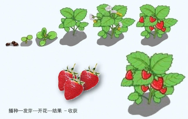【防疫科普】如何利用園藝療法保持復(fù)工后身心健康？