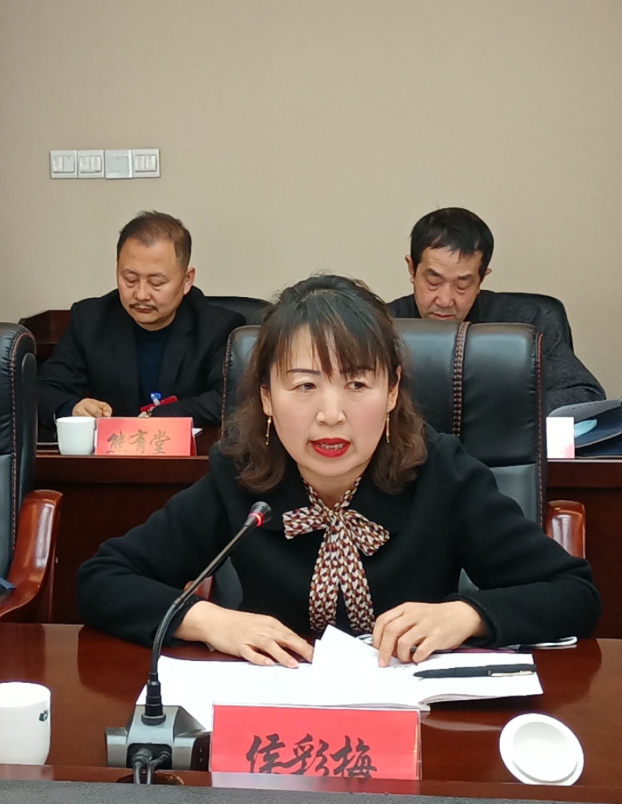 侯彩梅委員在討論發(fā)言時(shí)就規(guī)范農(nóng)村中小學(xué)體育教學(xué)提出了建議。