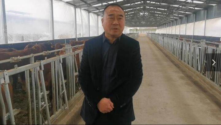 【脫貧攻堅(jiān)我來見證】項(xiàng)祖地：讓“早勝?！逼放谱叱龈拭C  走向全國(guó)