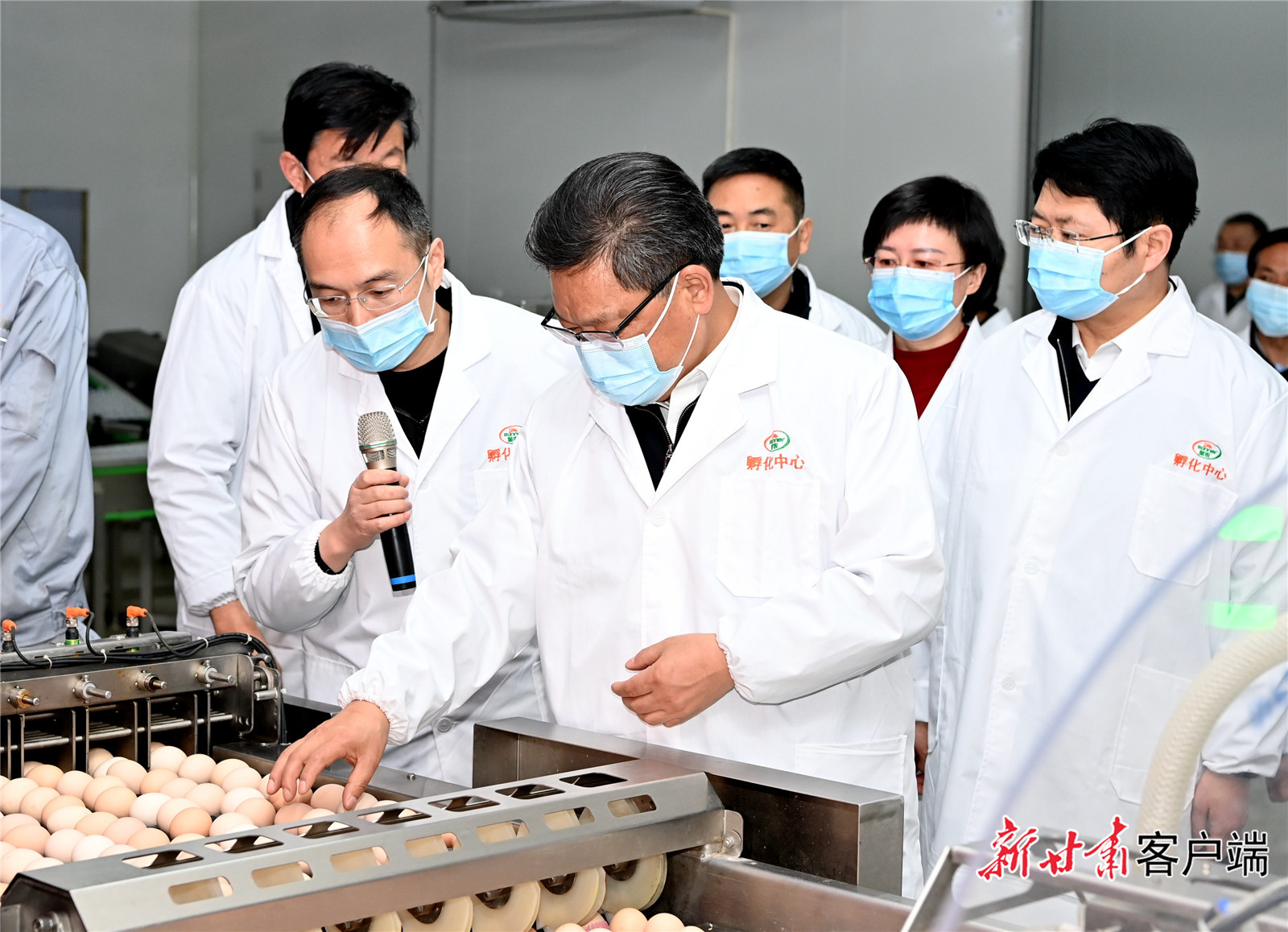 任振鶴在慶陽調(diào)研時強調(diào)：用新思想指引新征程，以新發(fā)展書寫新答卷，真抓實干推動新時代革命老區(qū)振興發(fā)展