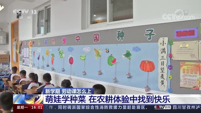 新學期，勞動課怎么上？央視《新聞直播間》關注北師大慶陽附校農耕體驗課