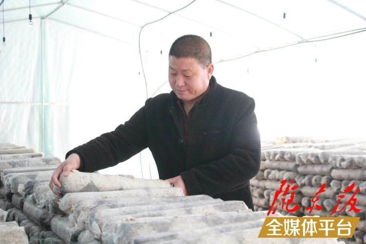 西峰區(qū)后官寨鎮(zhèn)司官寨村食用菌基地，工作人員在整理菌棒。本報記者 南力 攝