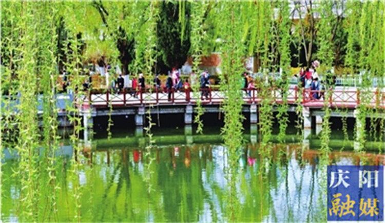 一點(diǎn)慶陽 | 忽然春來（康?。?>

                        <div   id=