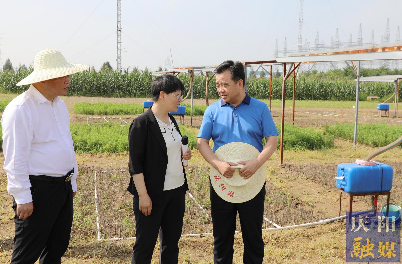 黃澤元在蘭州大學慶陽草地農(nóng)業(yè)試驗站和市農(nóng)科院調(diào)研時強調(diào) 切實提升科技成果轉化率促進農(nóng)民增收 加快發(fā)展農(nóng)業(yè)新質(zhì)生產(chǎn)力推動農(nóng)業(yè)增效