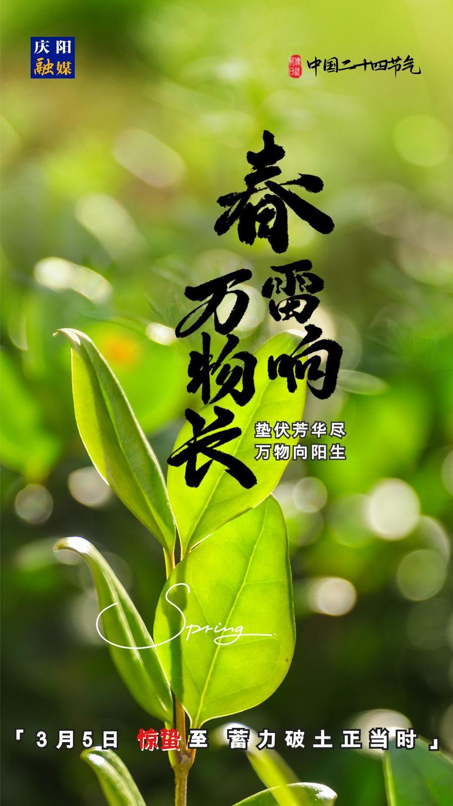 【微海報】二十四節(jié)氣丨驚蟄至，蓄力破土正當時