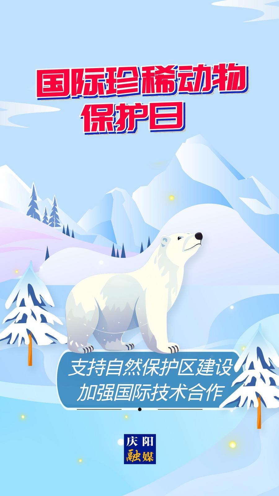 【微海報】國際珍稀動物保護日丨支持自然保護區(qū)建設 加強國際技術合作