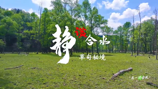 【五一游慶陽】靜謐合水︱合水縣太莪鄉(xiāng)草甸秘境等你來打卡！