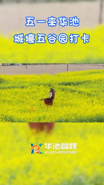 【五一游慶陽】歡迎來華池城壕五谷園打卡??！