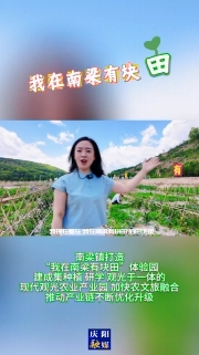 南梁鎮(zhèn)打造“我在南梁有塊田”體驗(yàn)園，建成集種植、研學(xué)、觀光于一體的現(xiàn)代觀光農(nóng)業(yè)產(chǎn)業(yè)園，加快農(nóng)文旅融合，推動(dòng)產(chǎn)業(yè)鏈不斷優(yōu)化升級(jí)