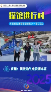 【“云”探蘭洽會(huì)】慶陽氣電資源豐富