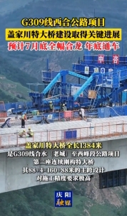 G309線西合公路項目蓋家川特大橋建設取得關鍵進展