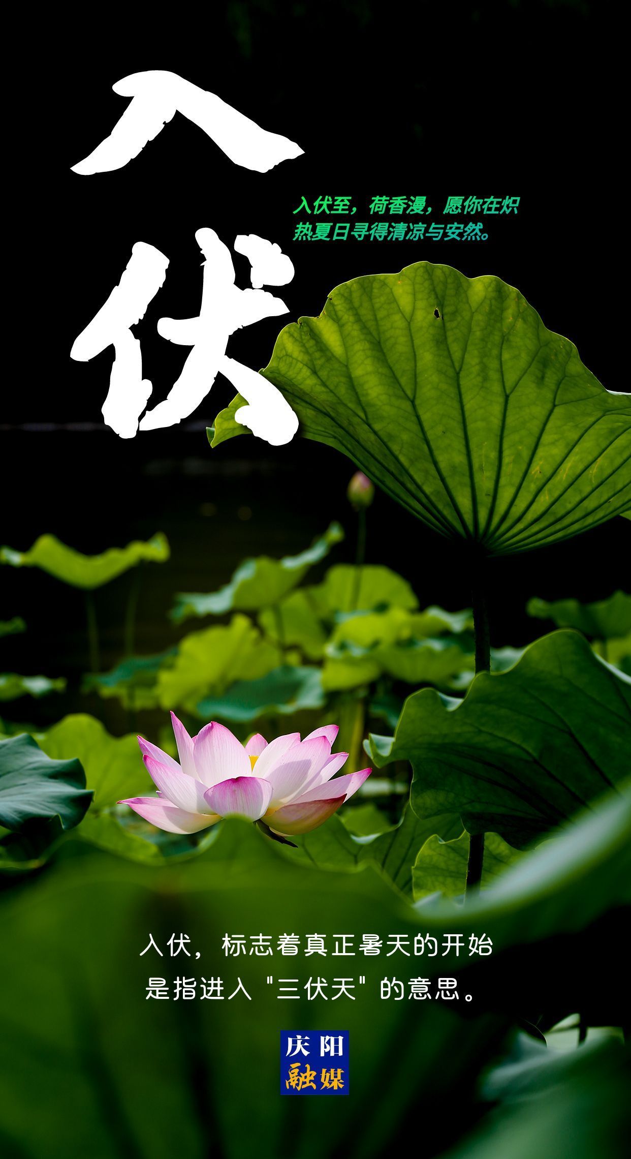 【微海報】今日入伏丨愿你安然度夏！